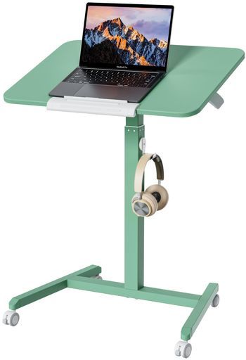 現品限り】ドルステニア・ギガス 実生【AB54】 Dorstenia gigas【植物