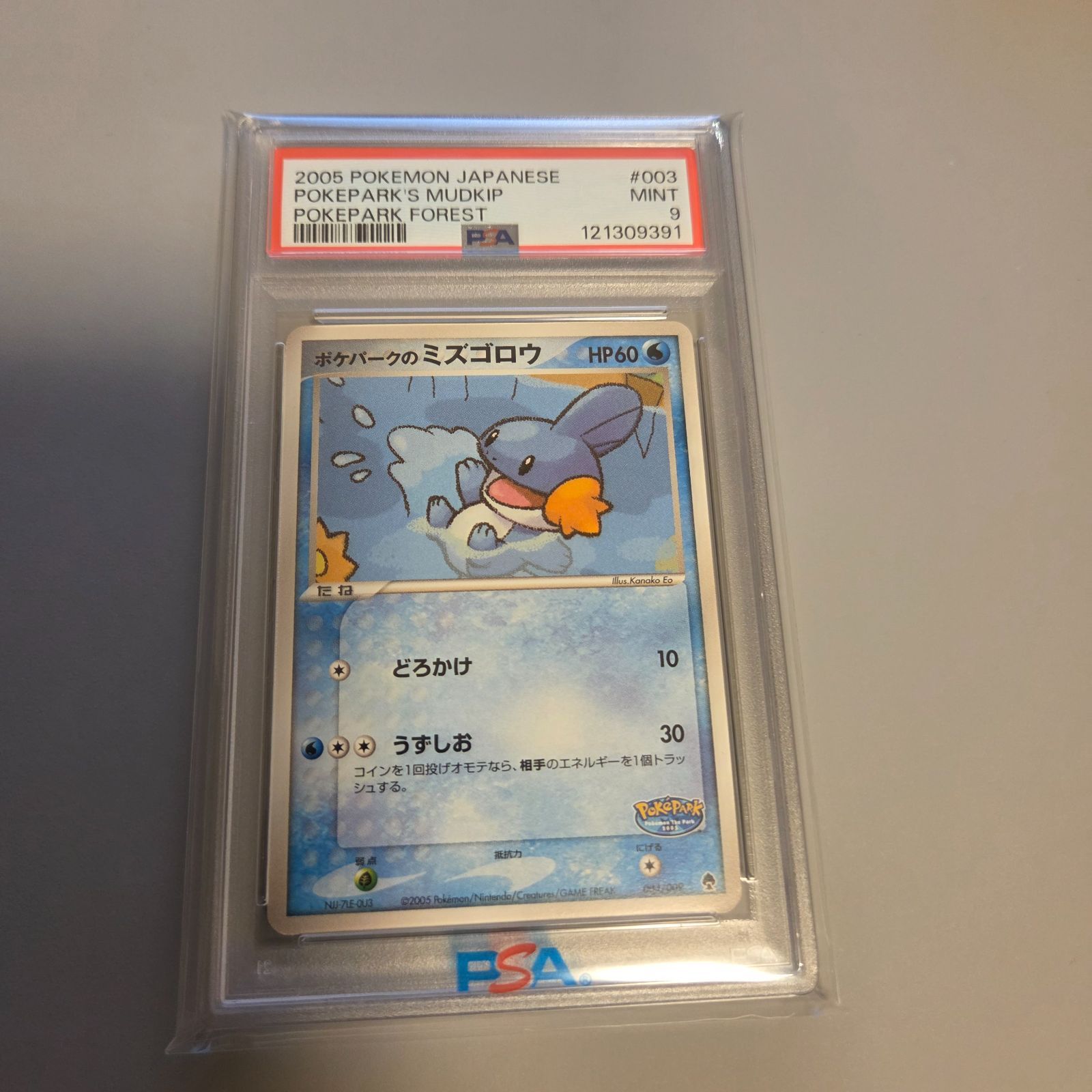 ポケパークのミズゴロウ PSA9 ポケパークプレミアムファイル 003/009