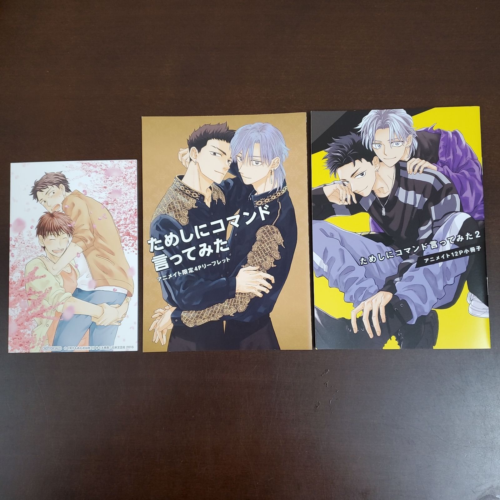 ためしにコマンド言ってみた アニメイト特典 リーフレット&小冊子