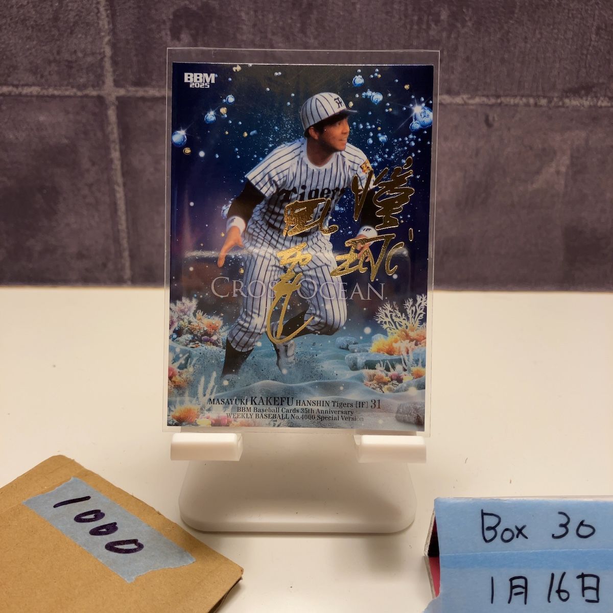 2025 BBM 掛布雅之 174/200 金箔サイン 阪神タイガース Cross Ocean