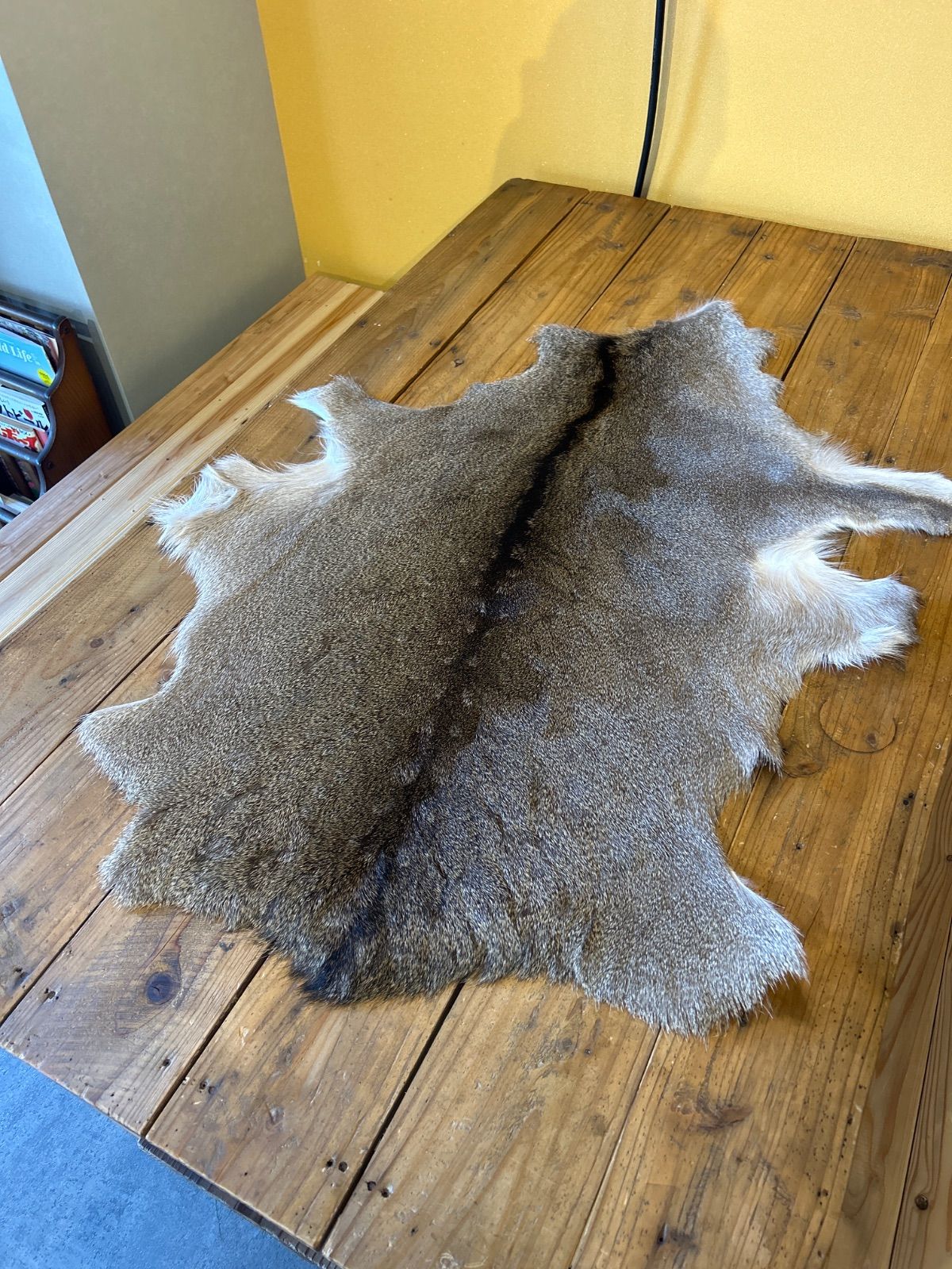 鹿の毛皮 ラグ敷物 毛革 鹿革 鹿11 ブッシュクラフト 野営 キャンプ