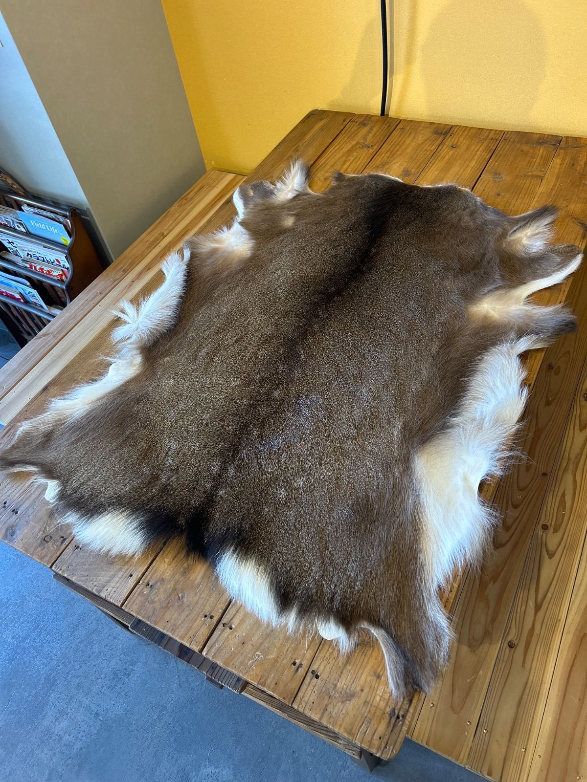 鹿の毛皮 ラグ敷物 毛革 鹿革 鹿13 ブッシュクラフト 野営 キャンプ