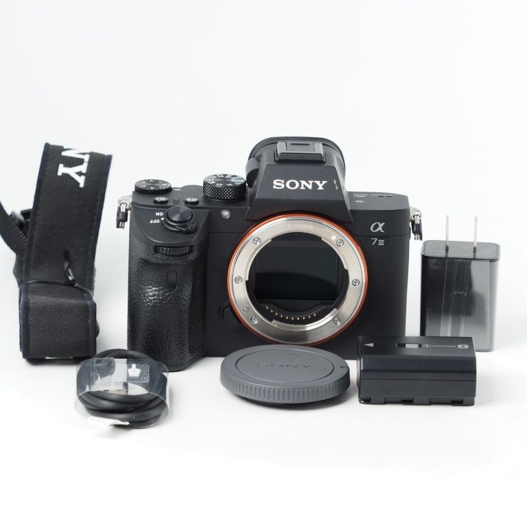 SONY α7 III ボディ ILCE-7M3 ソニー フルサイズミラーレス一眼 #14628
