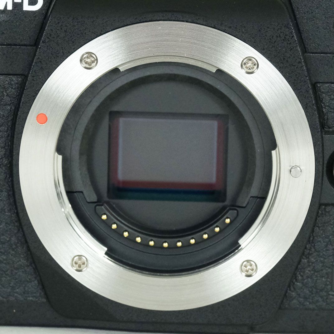 美品 | シャッター数5,881回] OLYMPUS OM-D E-M10 Mark IV [ボディ