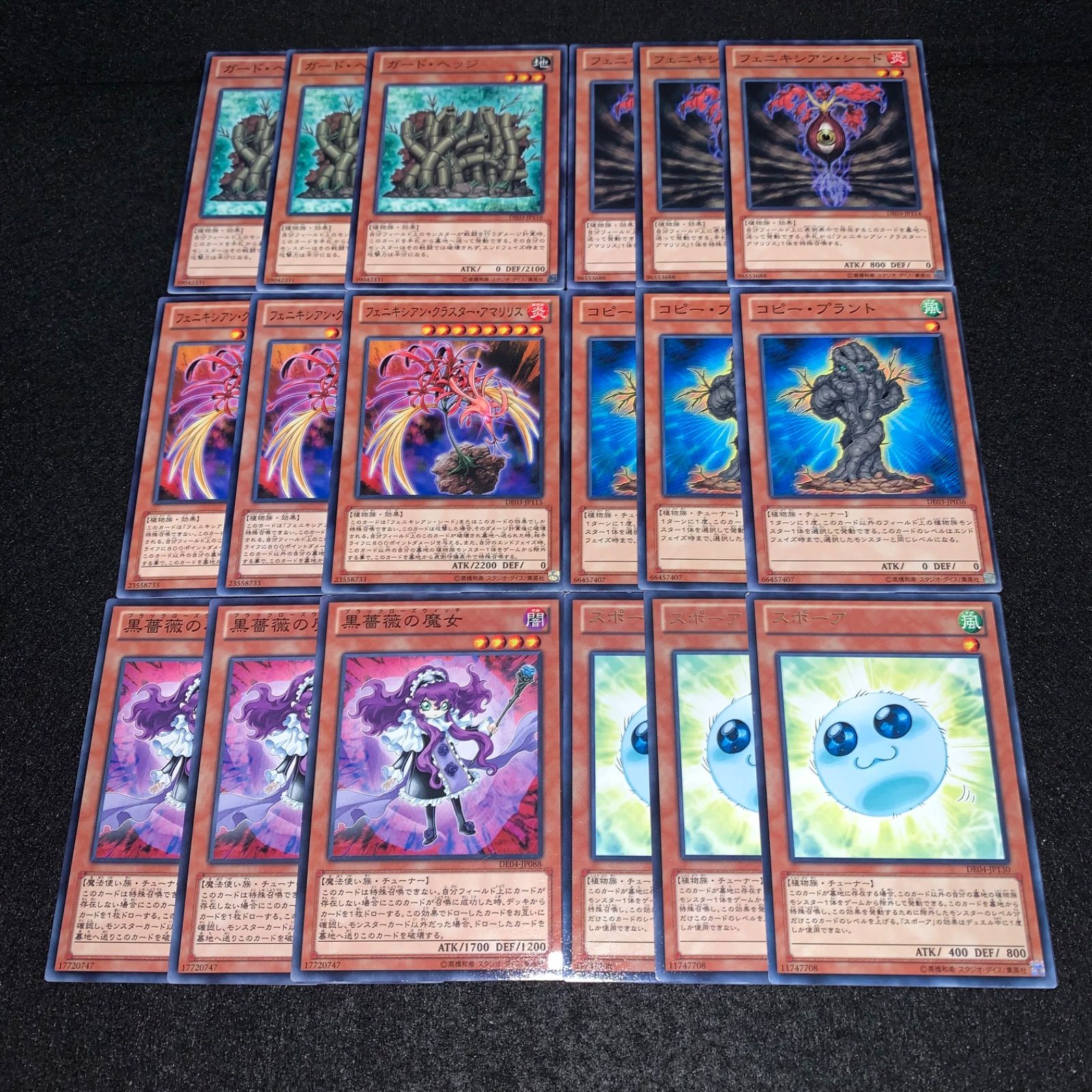 遊戯王 KY659 ガードヘッジ フェニキシアンシード フェニキシアン