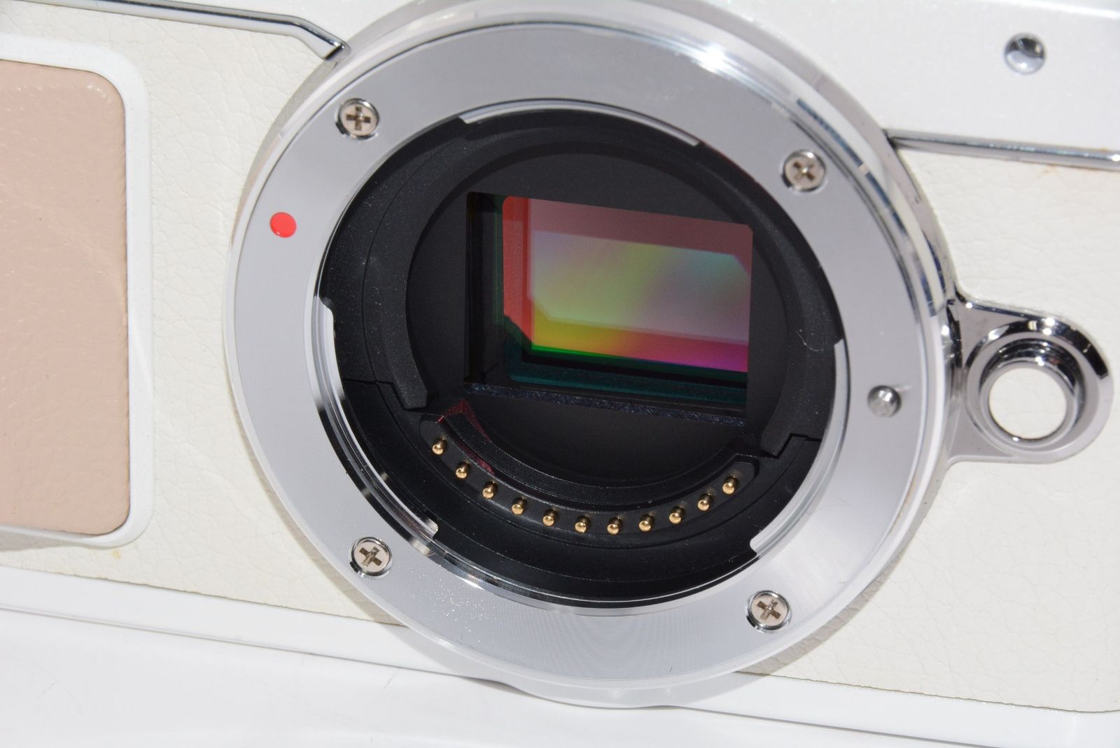 外観特上級】OLYMPUS PEN E-PL7 ホワイト ミラーレス一眼 - メルカリ