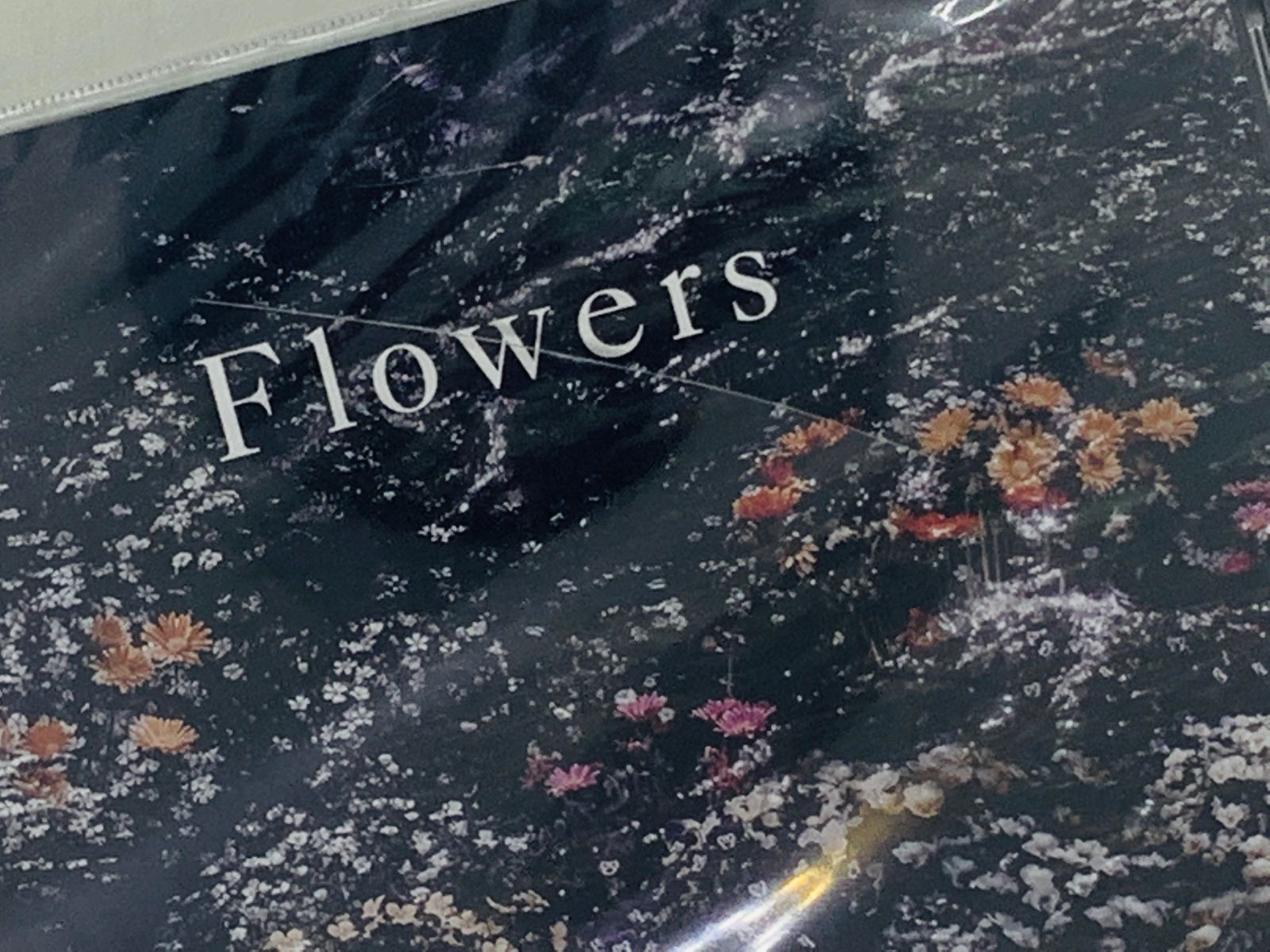 CD 福間創 Flowers / Hajime Fukuma / 未開封 ヒビアリ 帯付き 激レア