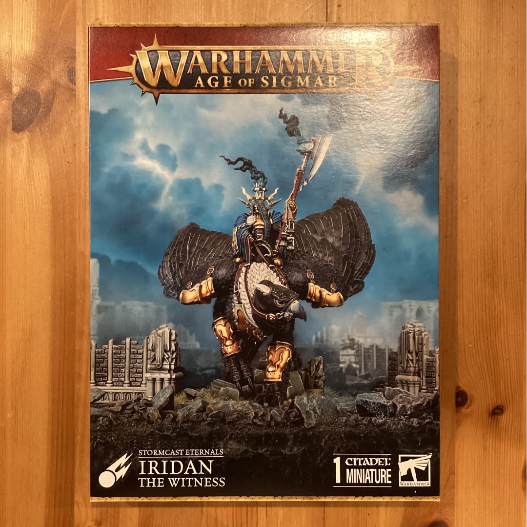 ストームキャスト・エターナル 見届ける者 イリダン Iridan the