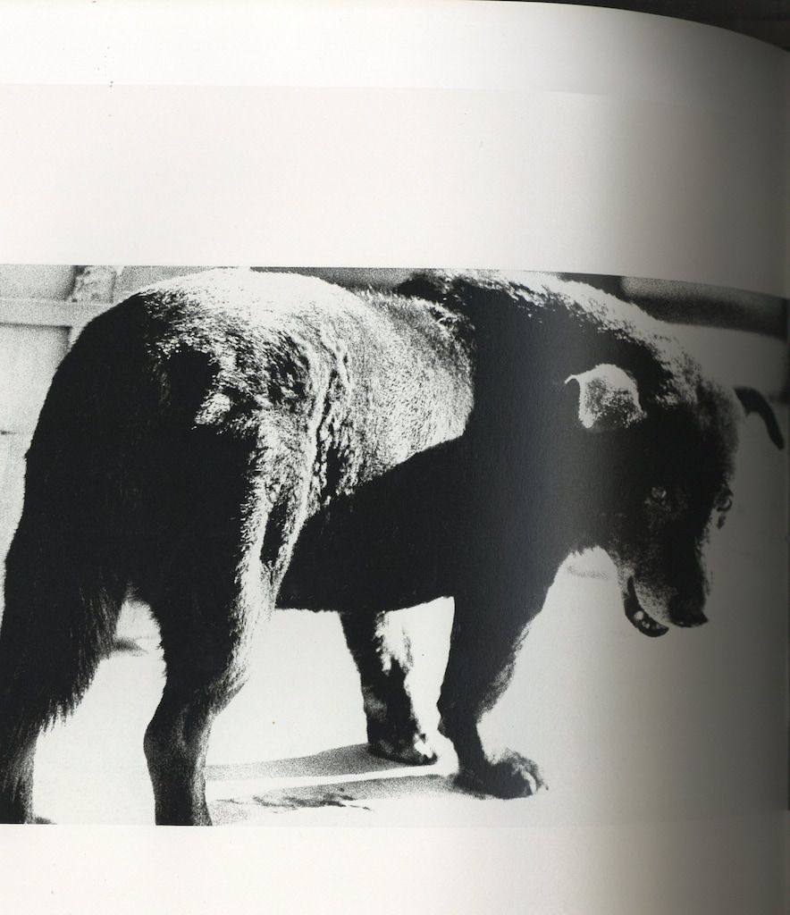 月曜社 森山大道写真集成 2 森山大道 狩人 - メルカリ