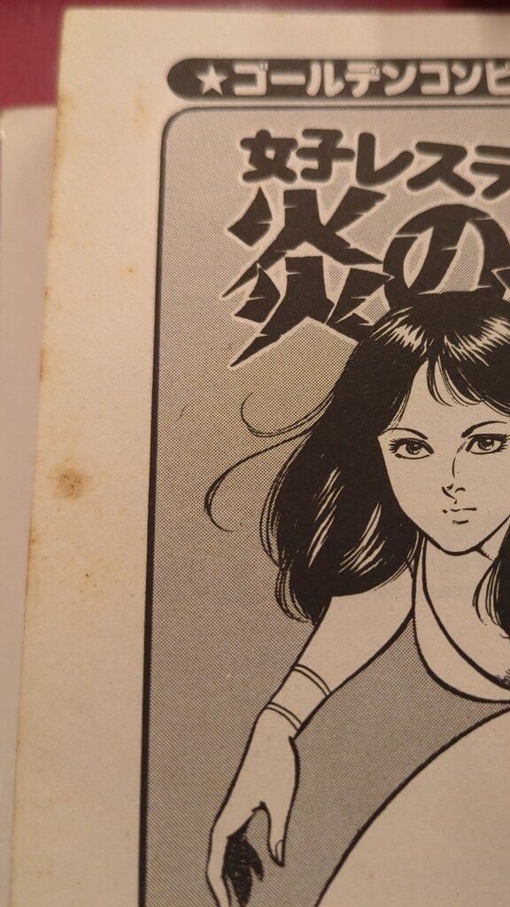 日本文芸社 ゴラクコミックス 中野喜雄 女子レスラー炎の身上書 - メルカリ