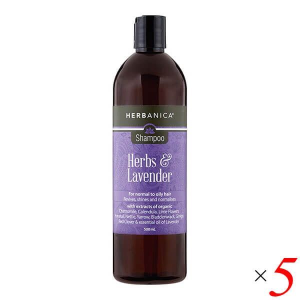 古本] ドラゴンウォーズ 安い ハンドブック BNN 森田慶子 著(攻略本)