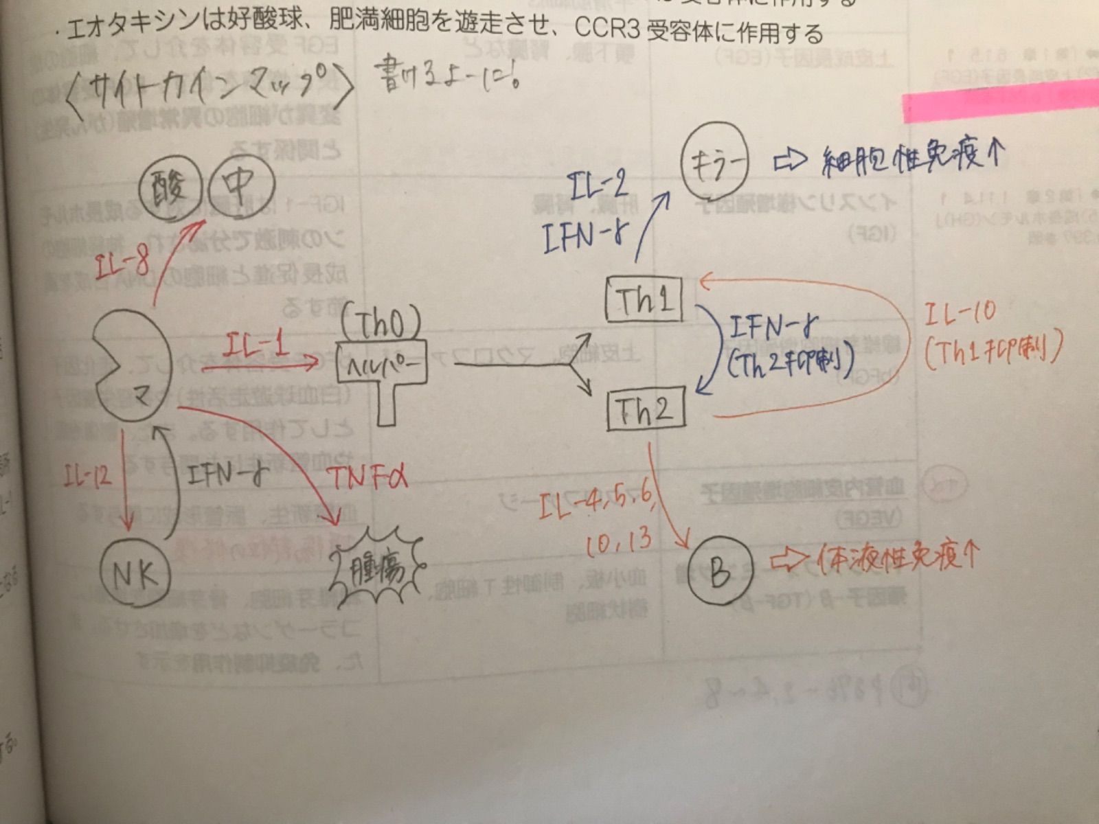 青本2022年版 - メルカリ