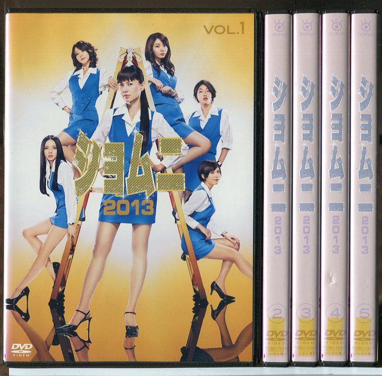 ショムニ 2013 全5巻セット/DVD 中古 レンタル落ち/江角マキコ/本田翼