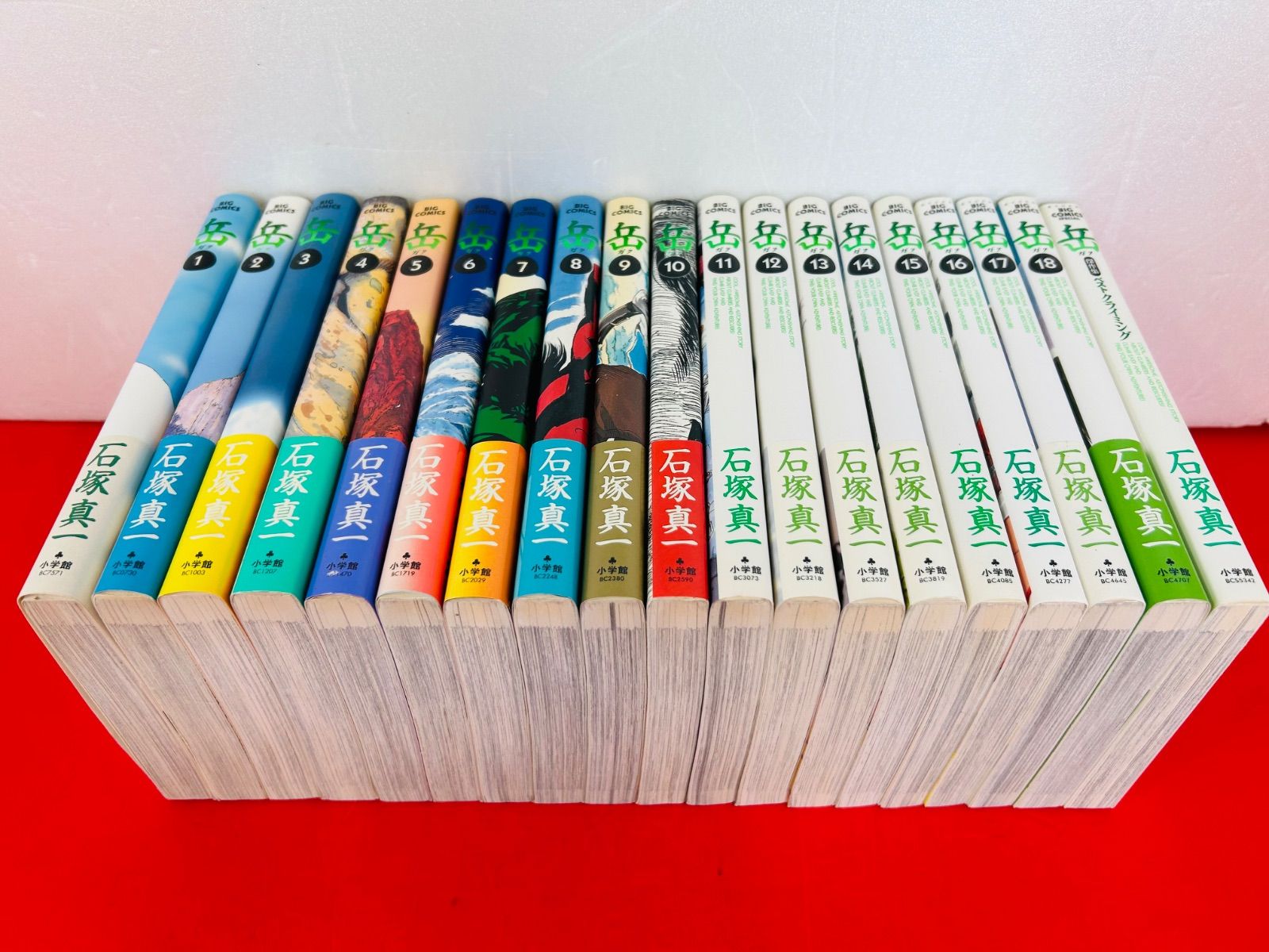 岳 全巻セット 初版 帯つき 石塚真一 岳 完全版 全巻9巻 全巻初版