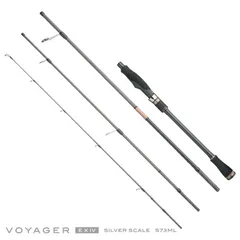 2026年最新】Fishing for scaleの人気アイテム - メルカリ