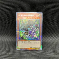 2026年最新】聖域に仕えし練達の魔導師の人気アイテム - メルカリ