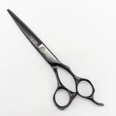 2026年最新】ミズタニ シュコーラムマスターの人気アイテム - メルカリ