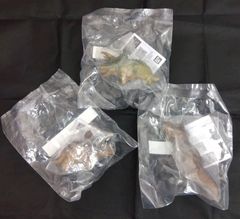 ヴァイスシュヴァルツ 死への執着 ピトフーイ (RR) GGO/S59-070 - メルカリ