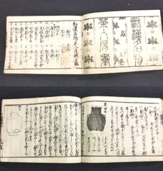 スーパーレア! 草木奇品家雅見～古書 江戸時代の書の復刻版と解説本