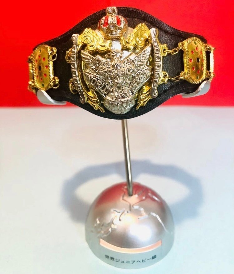完売】これぞ王道の証！『全日本プロレス チャンピオンベルト1/6