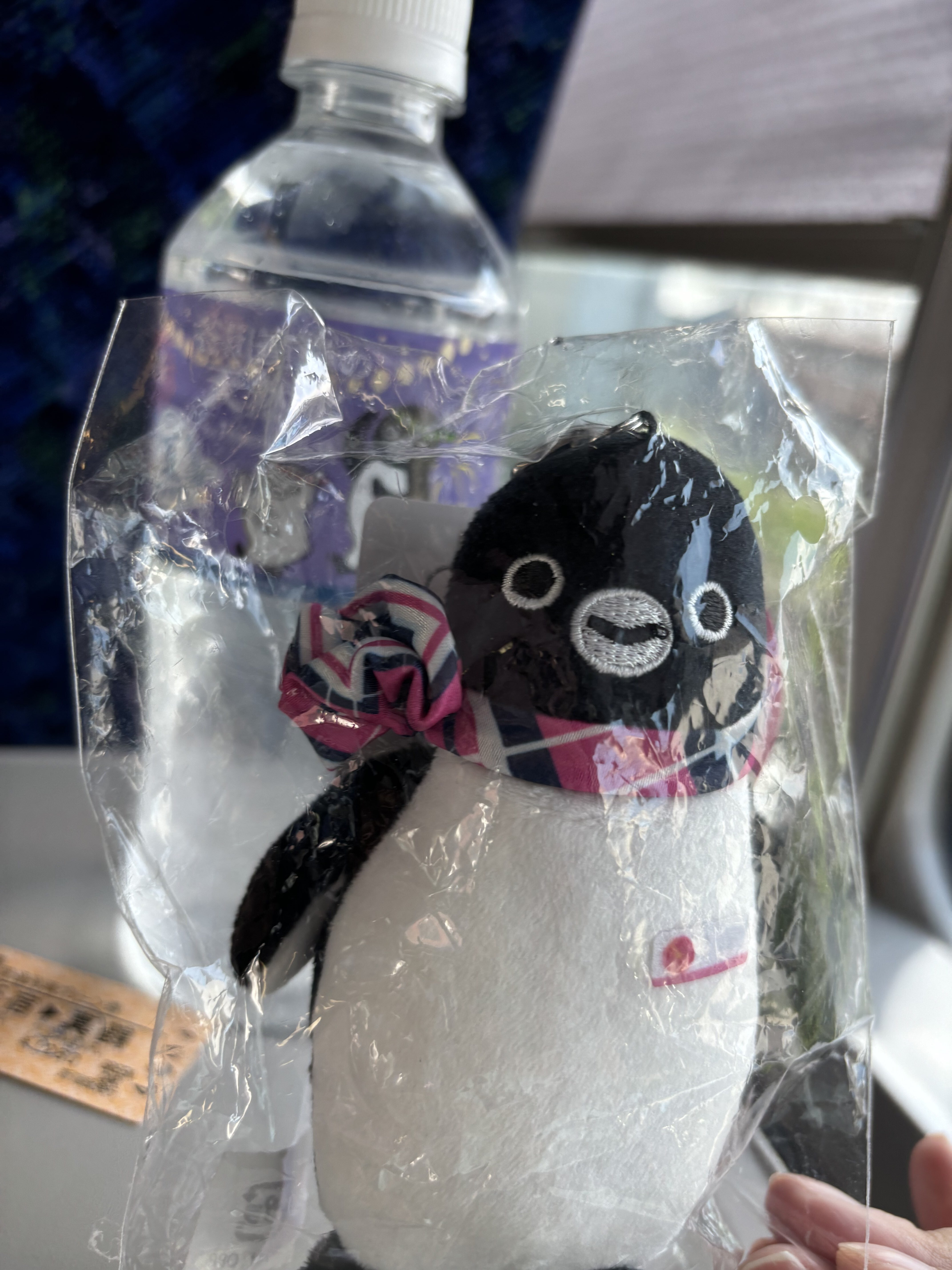 夏休み】Suicaのペンギンと真鶴へゆく｜今宵