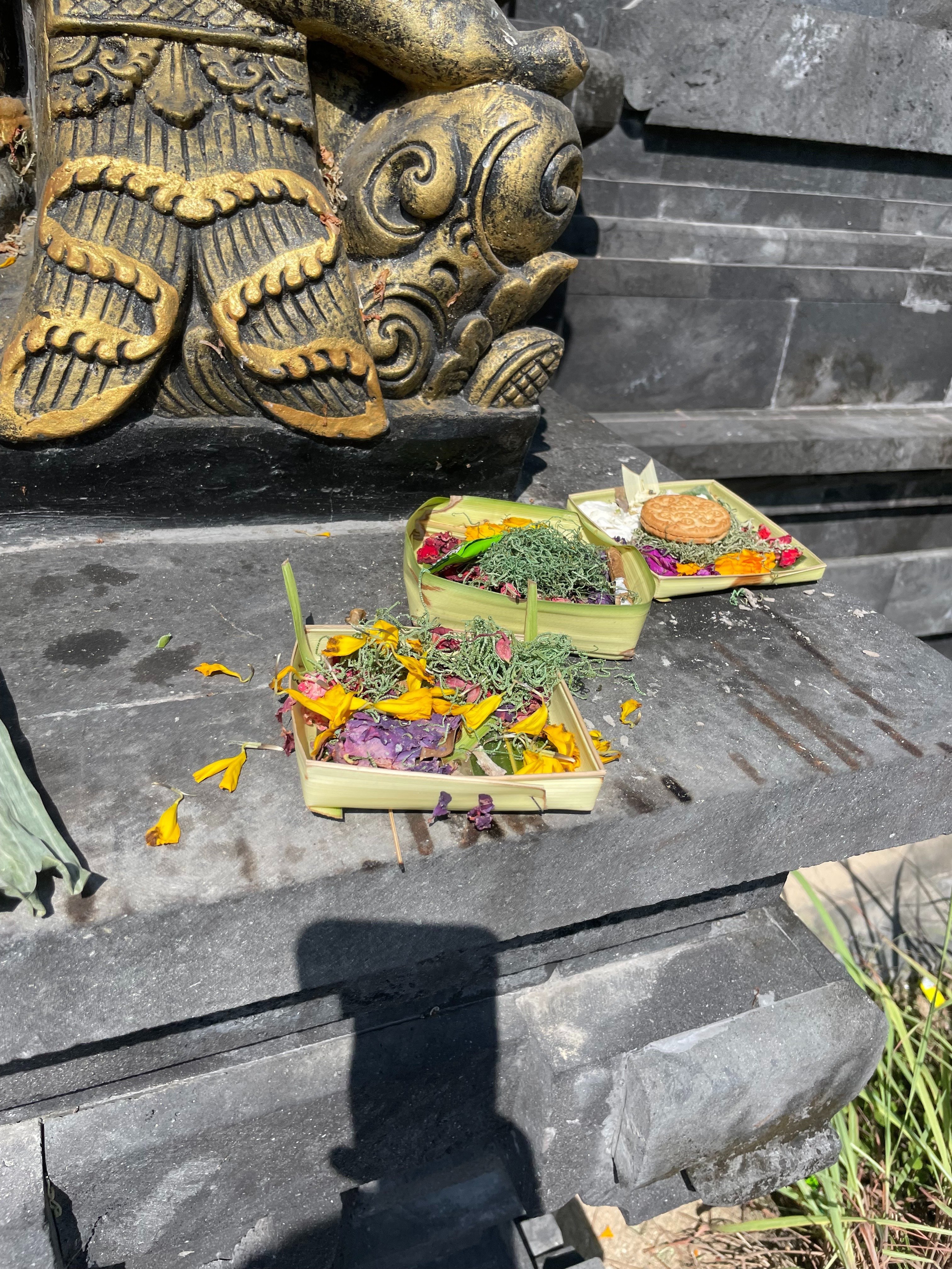 バリ島で出会った日本の神々のルーツの真言を探る｜フォレスト出版