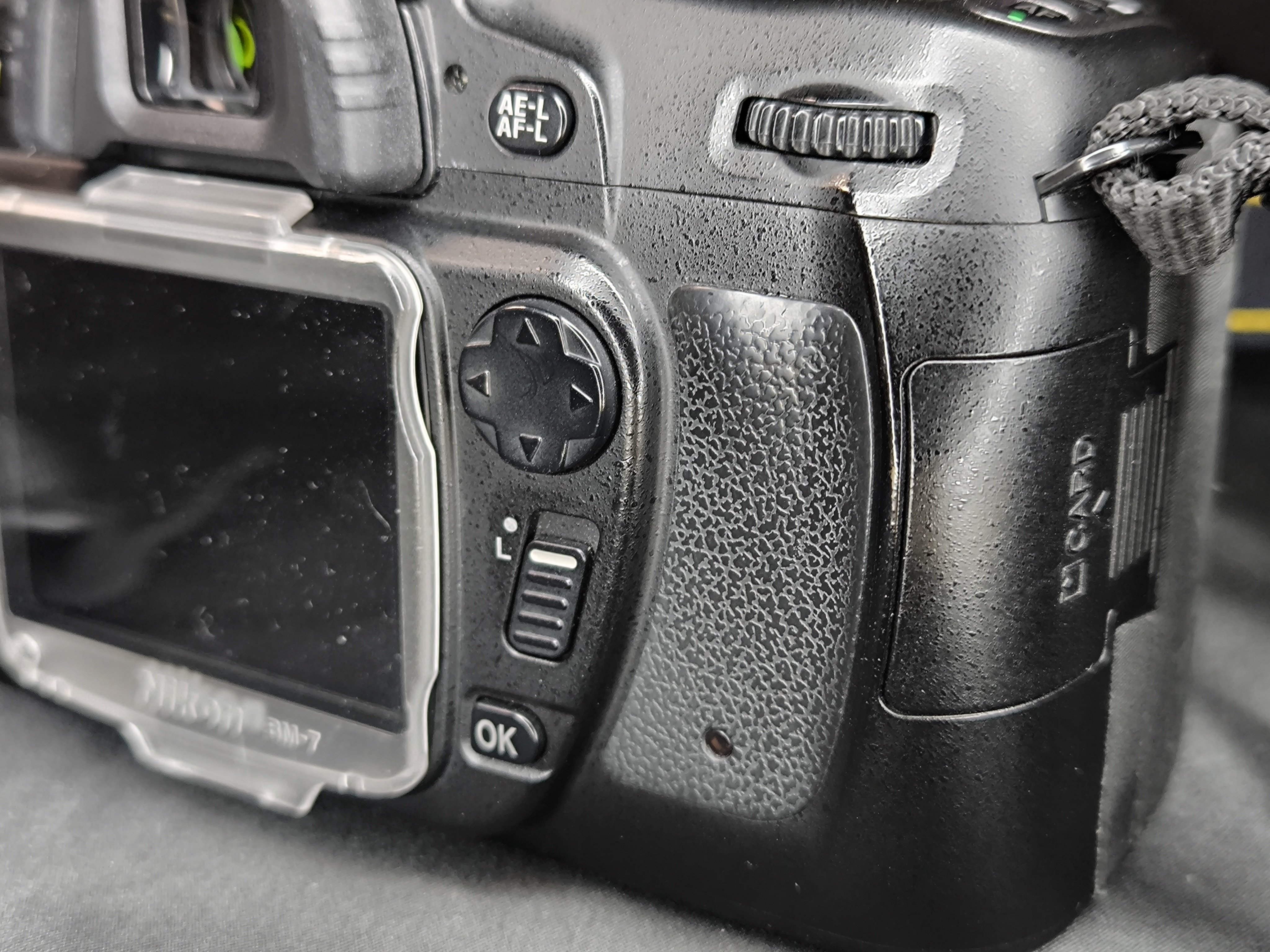 愛機D80は貴重なCCDセンサー搭載のじゃじゃ馬モデルなの｜Tarciel