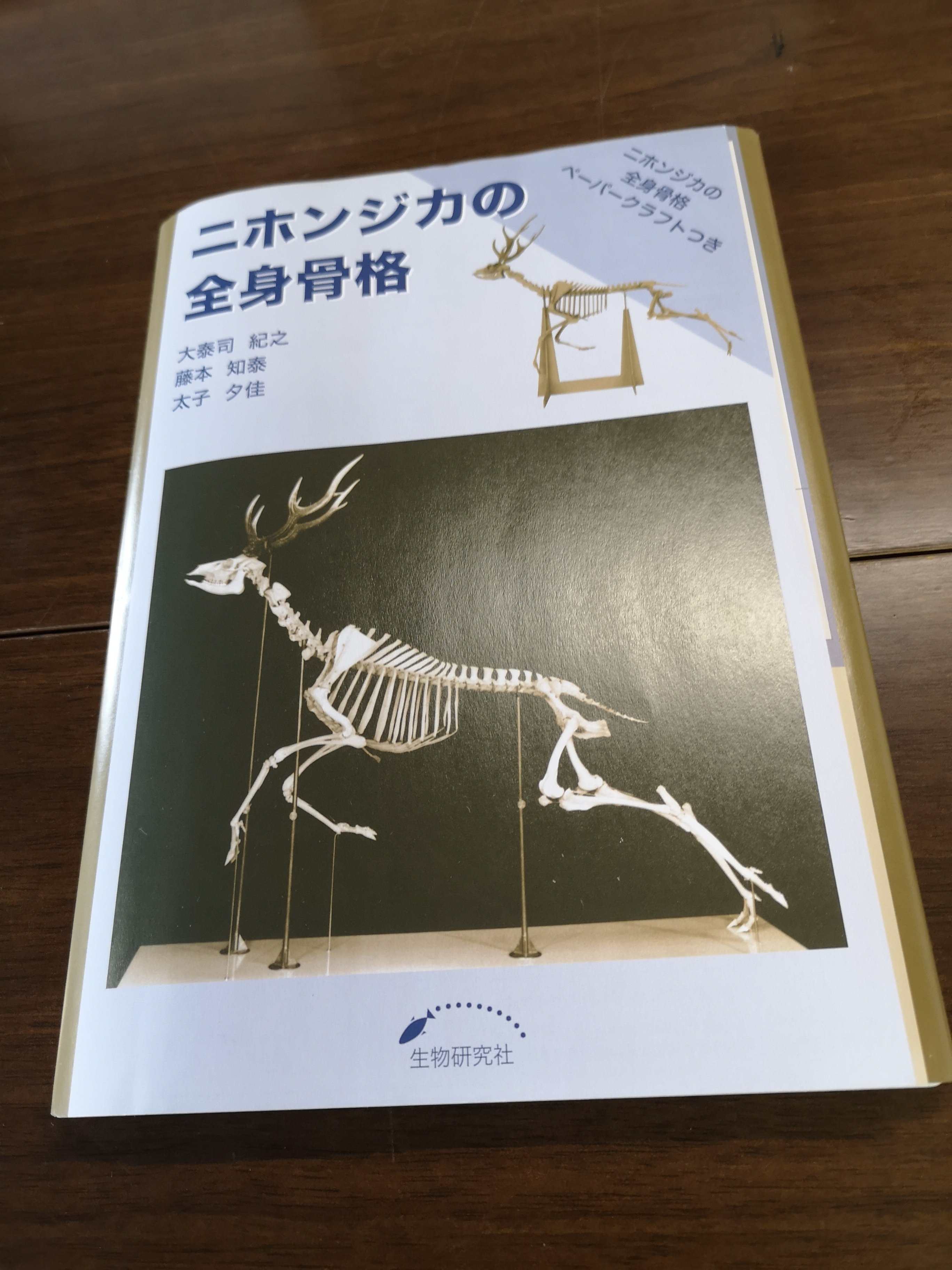 ニホンジカ全身骨格ペーパークラフトを組み立てる｜考えるジビエ