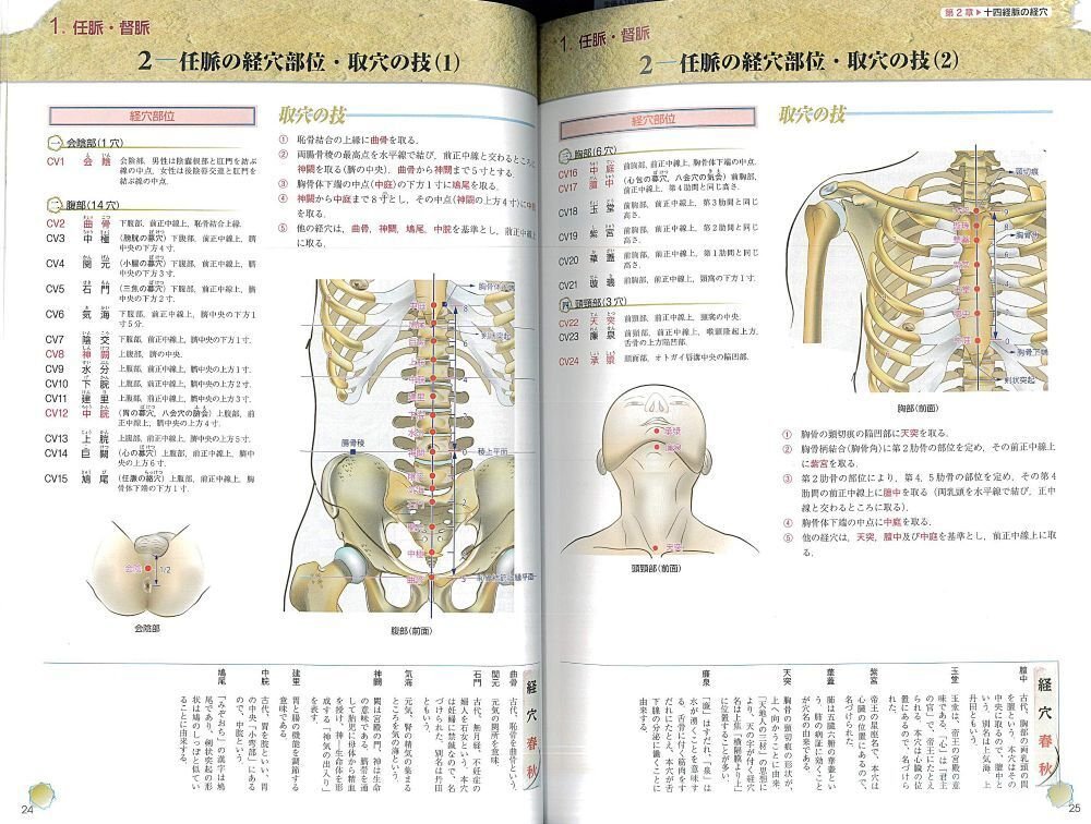 画像で比較】鍼灸・推拿に役立つ経穴取穴本おすすめ21選｜在庫あり49冊