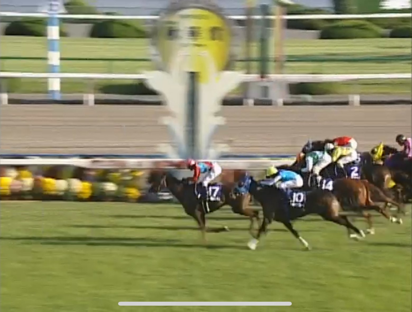 UMA] スティルインラブは、豊饒の海だった｜だいぽよ