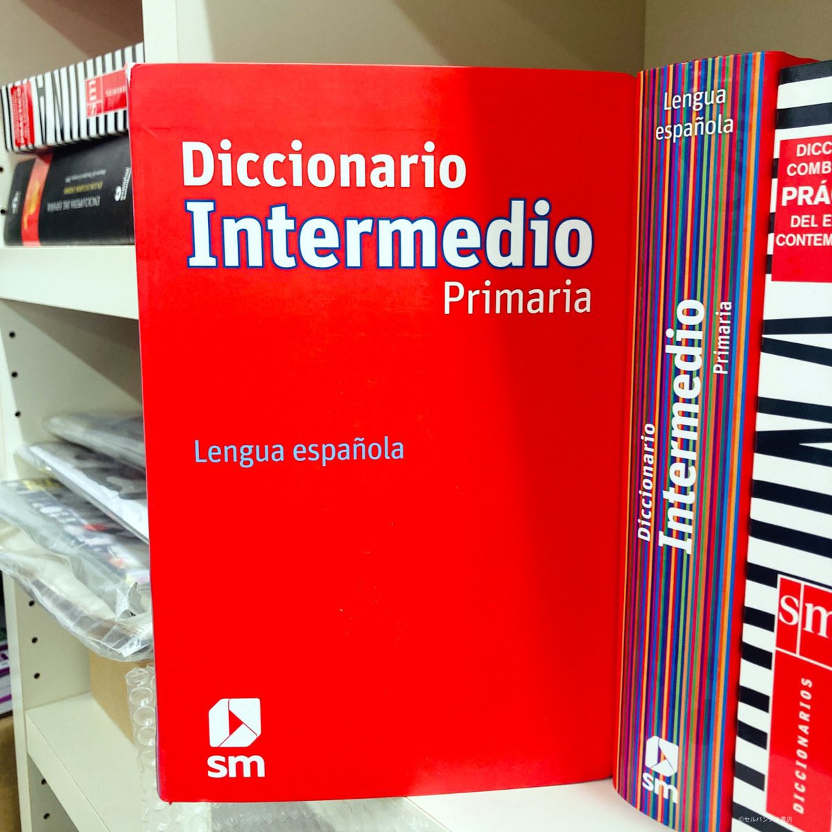 はじめての西西辞書におすすめ！スペイン語の辞書を引こう。｜インター