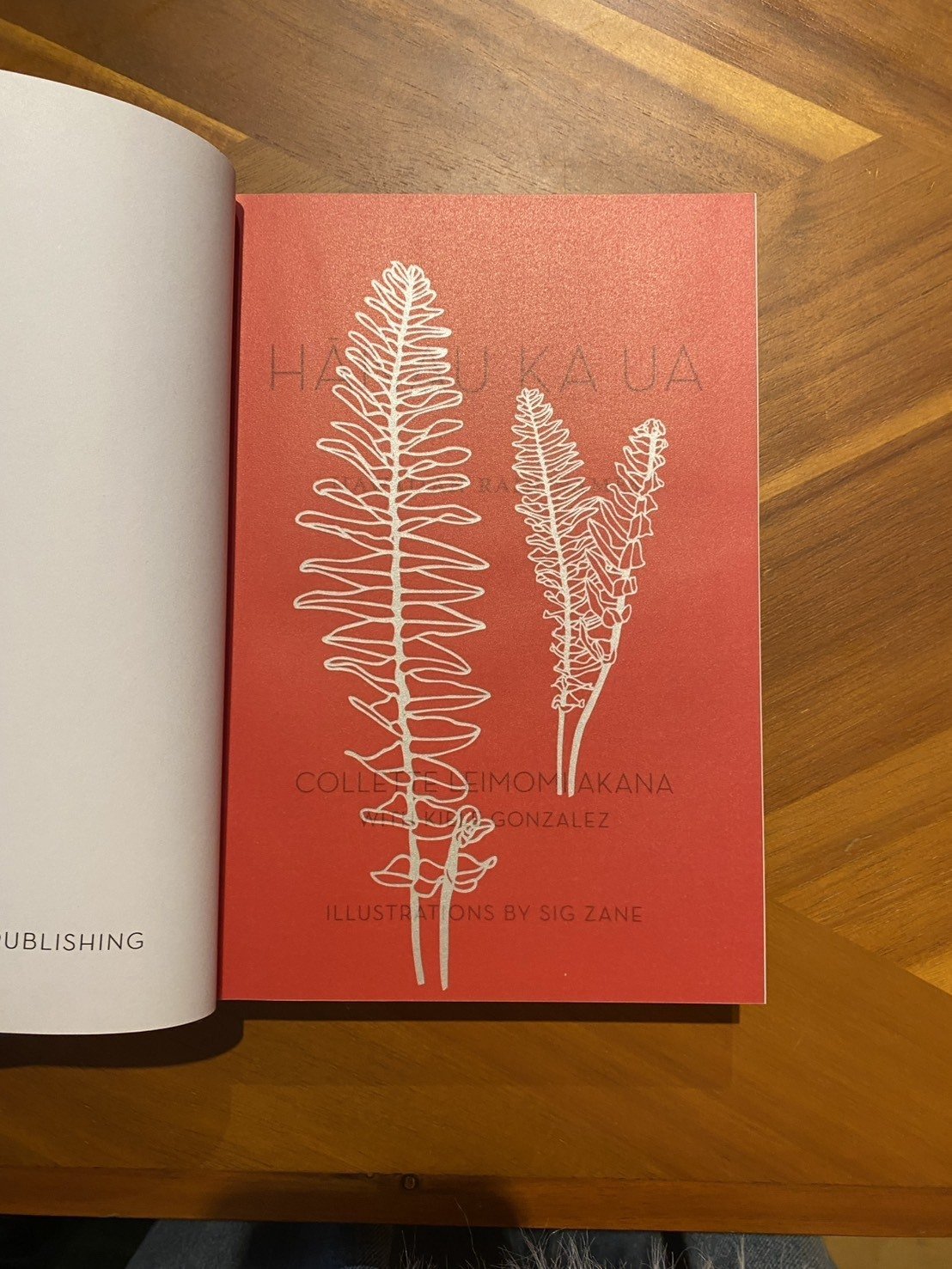 おすすめハワイ語辞書｜新倉真澄 / ウクレレインストラクター