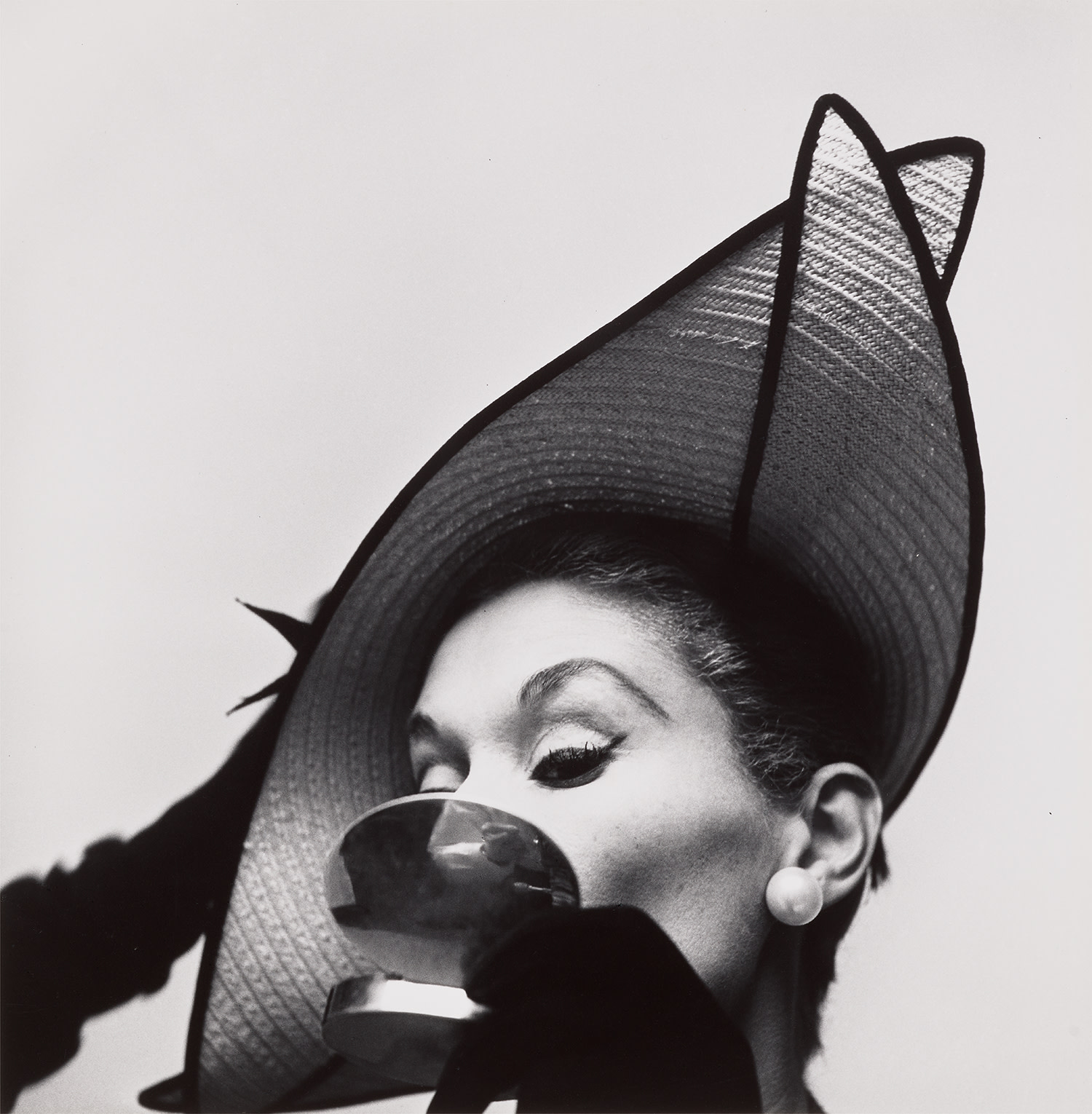 Irving Penn Photographs