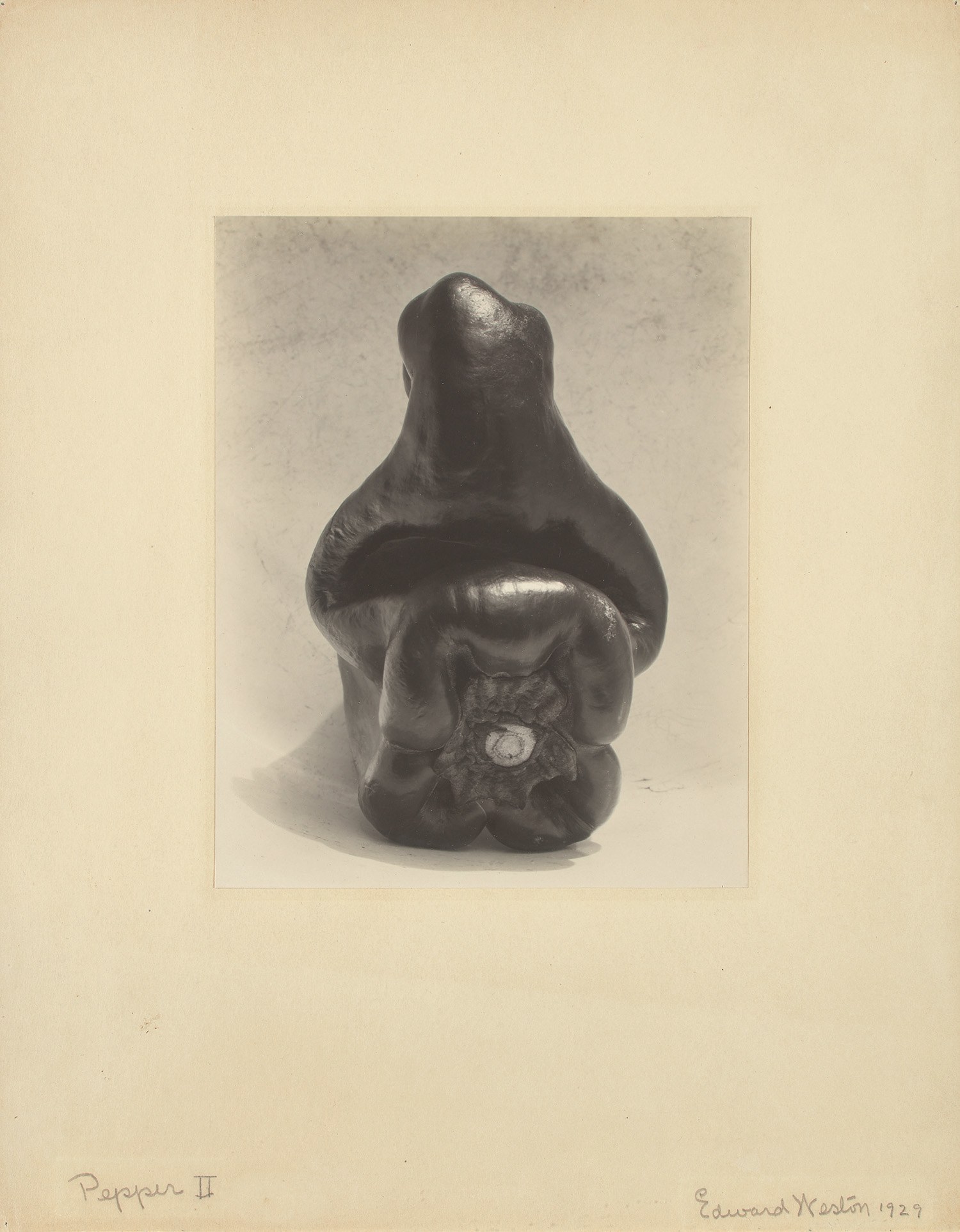 Edward Weston Photographs