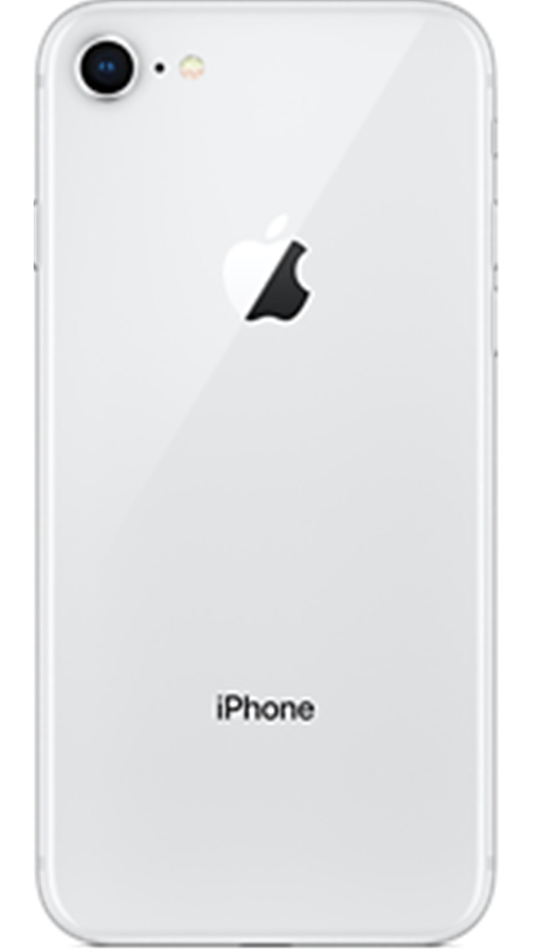 Buy Apple iPhone 8 64 GB (Silver) Online at Low Prices in India
