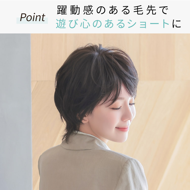 医療用ウィッグ ショート/Mr.ショート[pw214]
