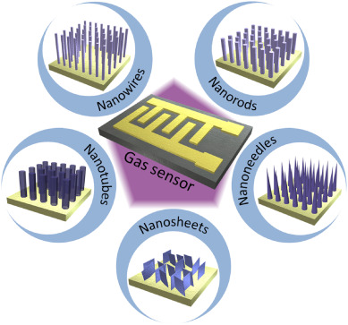 Recent progress and perspectives of gas sensors based on