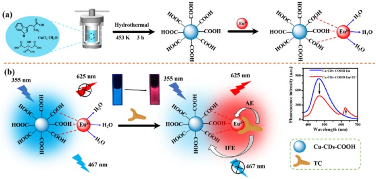 Metal-doped carbon dots for sensing applications in food analysis