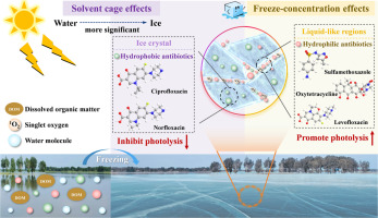 Hydrophilicity-dependent photodegradation of antibiotics in ice
