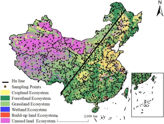 Unraveling the enigma of NPP variation in Chinese vegetation