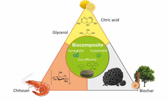 Synergistic and sustainable chitosan-based biochar biocomposite