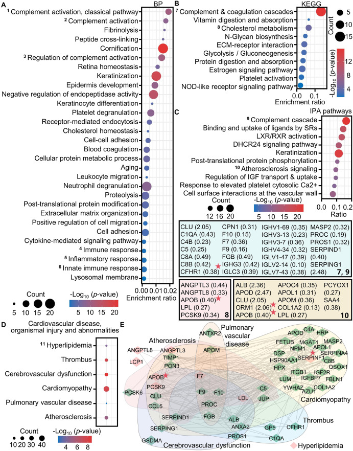 Serum-derived exosome proteomics unveils the distinct and