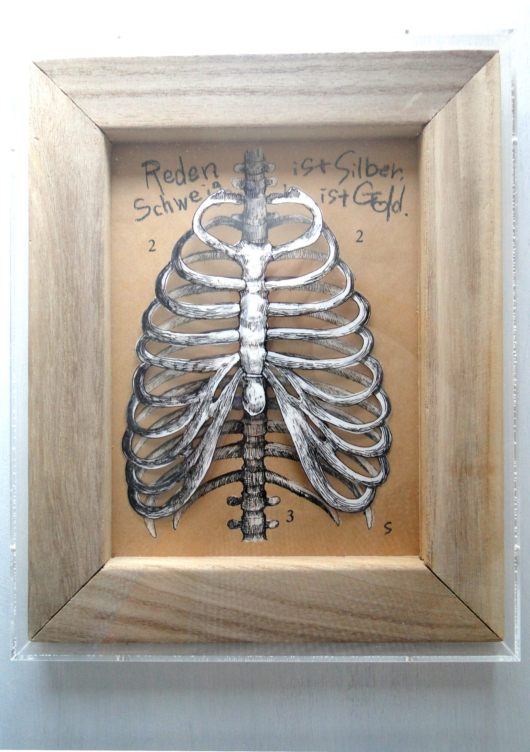 立体的な肋骨の絵画 骨格標本 アート 原画 アクリルフレーム 理科 科学