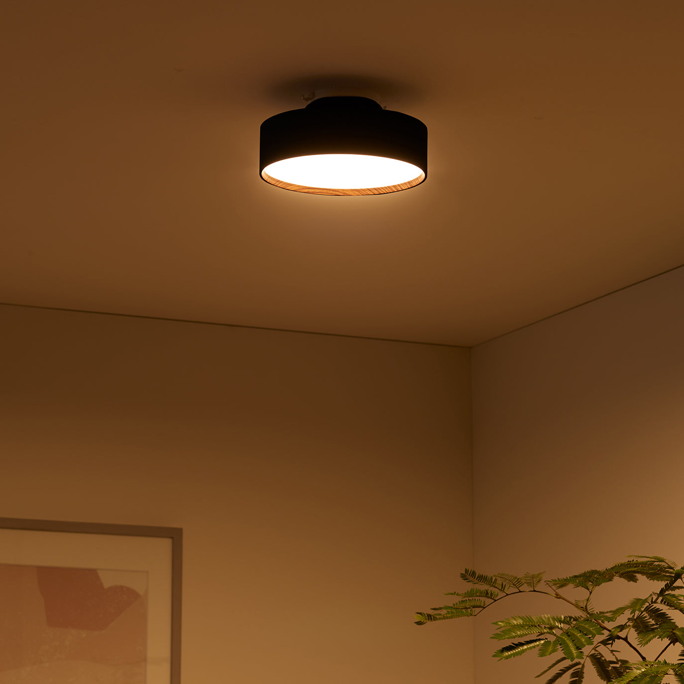 Glow mini LED-ceiling light｜ARTWORKSTUDIO公式