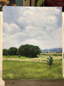 草むら｜初夏の多摩川河原-7 | Nobuアート日記