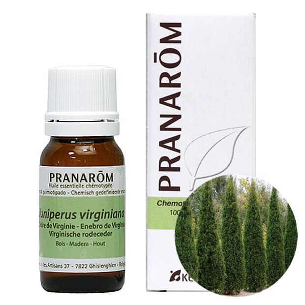 プラナロム シダー｜アロマ×アロマ