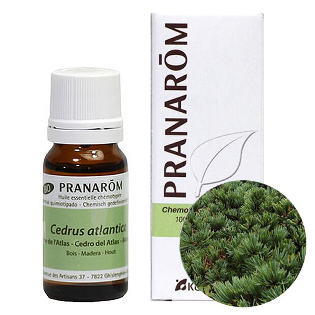 プラナロム アトラスシダー/シダーウッド アトラス｜アロマ×アロマ