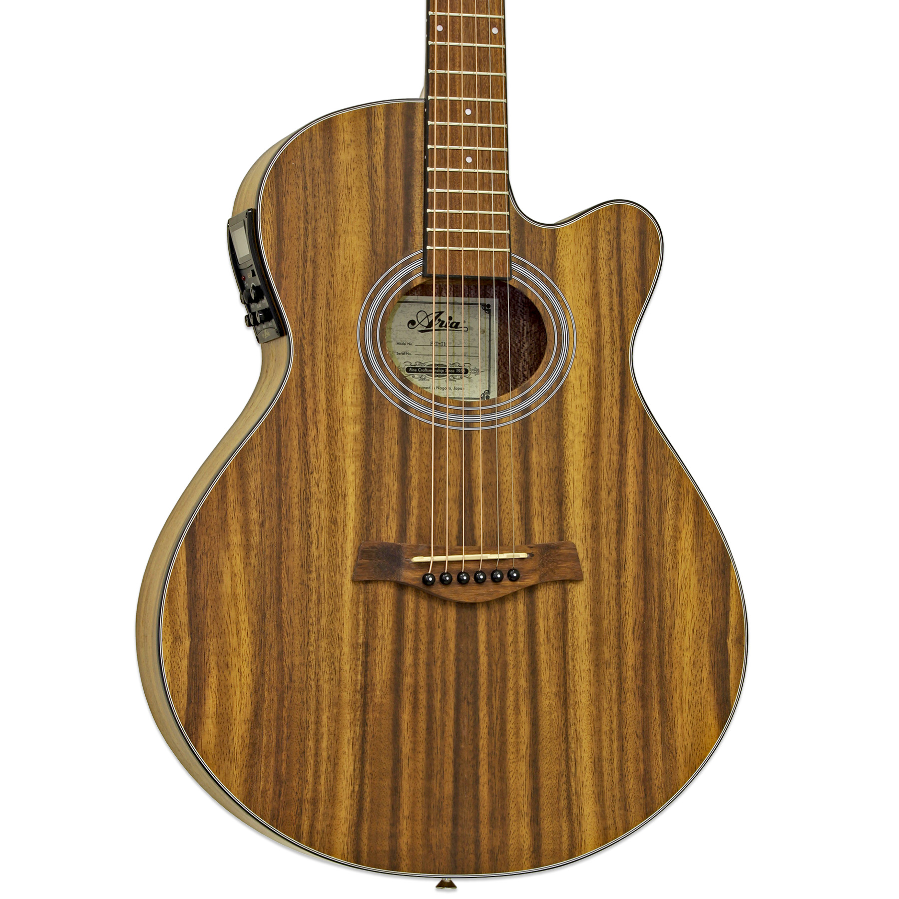 FET-T1 - Aria Guitars - Electric, Acoustic, Classical Guitars and Bass