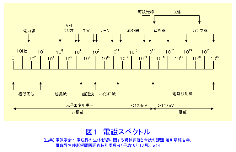 電磁波（電磁界）の生物への影響 (09-02-02-19) - ATOMICA -