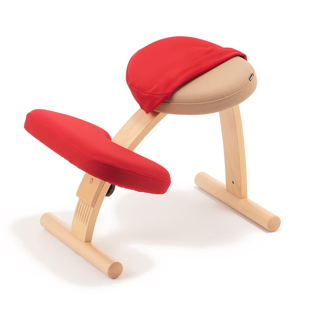 バランス イージー専用｜プレミアムニットカバーnew バランスラボ